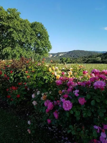 Luberon - Mas Du Grand Saint Julien Villa Rustrel France