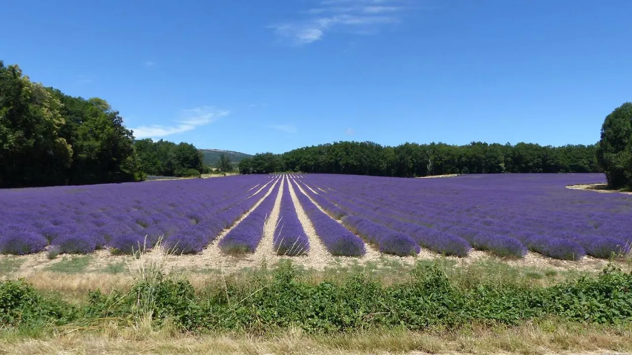 Luberon - Mas Du Grand Saint Julien Villa Rustrel Holiday home